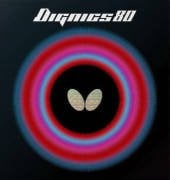 DIGNICS 80