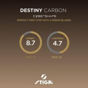 DESTINY CARBON CYBERSHAPE