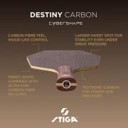 DESTINY CARBON CYBERSHAPE