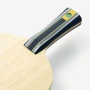 FAN ZHENDONG SUPER ZLC