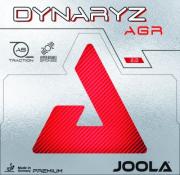 DYNARYZ AGR